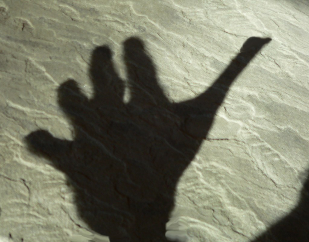 Turkey or Helping Hand, photo by Roger Vincent Jasaitis, copyright 2013