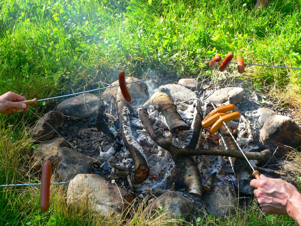 Wienie Roast, photo of wiener roasting party, RVjart.com