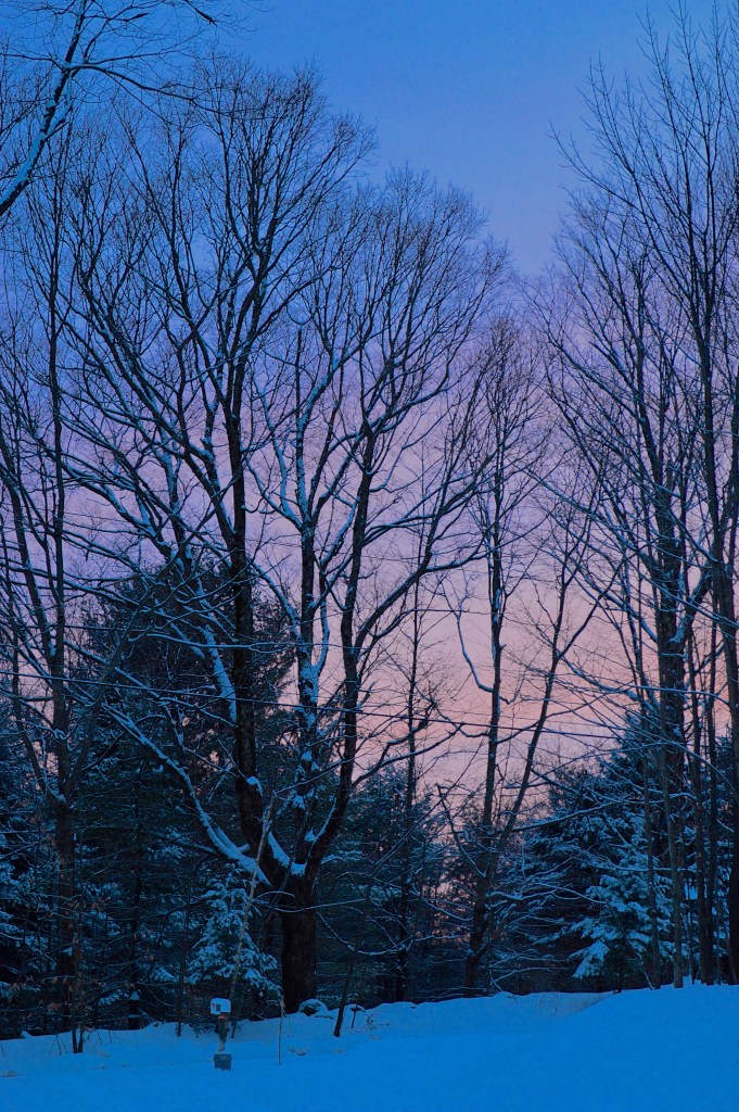 Winter Twilight, photo by Roger Vincent Jasaitis, copyright 2015, RVJart.com