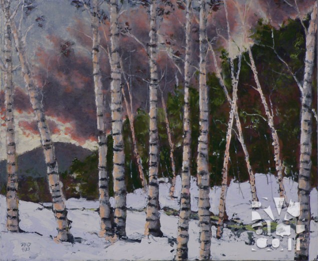 Sunset Birches, oil painting by Roger Vincent Jasaitis, copyright 2013, RVJart.com