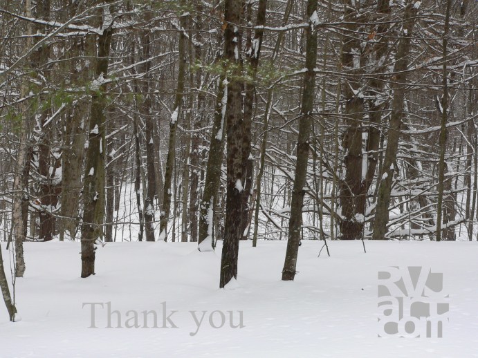 "A Winter Walk" Photo by RVJart.com ThankyouRVJ, photo by RVJart.com