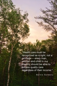 Bernie 2, photo by Roger Vincent Jasaitis, RVJart.com, Copyright 2015