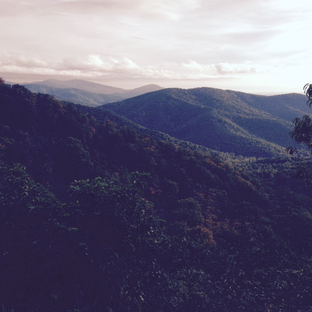 "Oh Shenandoah!" Photo courtesy of Sheila Garrett.
