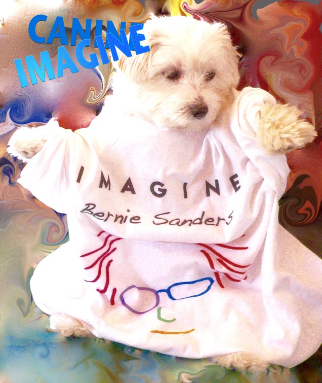 CANIMAGINE, artwork by Nancy Jane Lang, nancyjane lang.com, thanks to Mia for modeling. T-shirt by others...